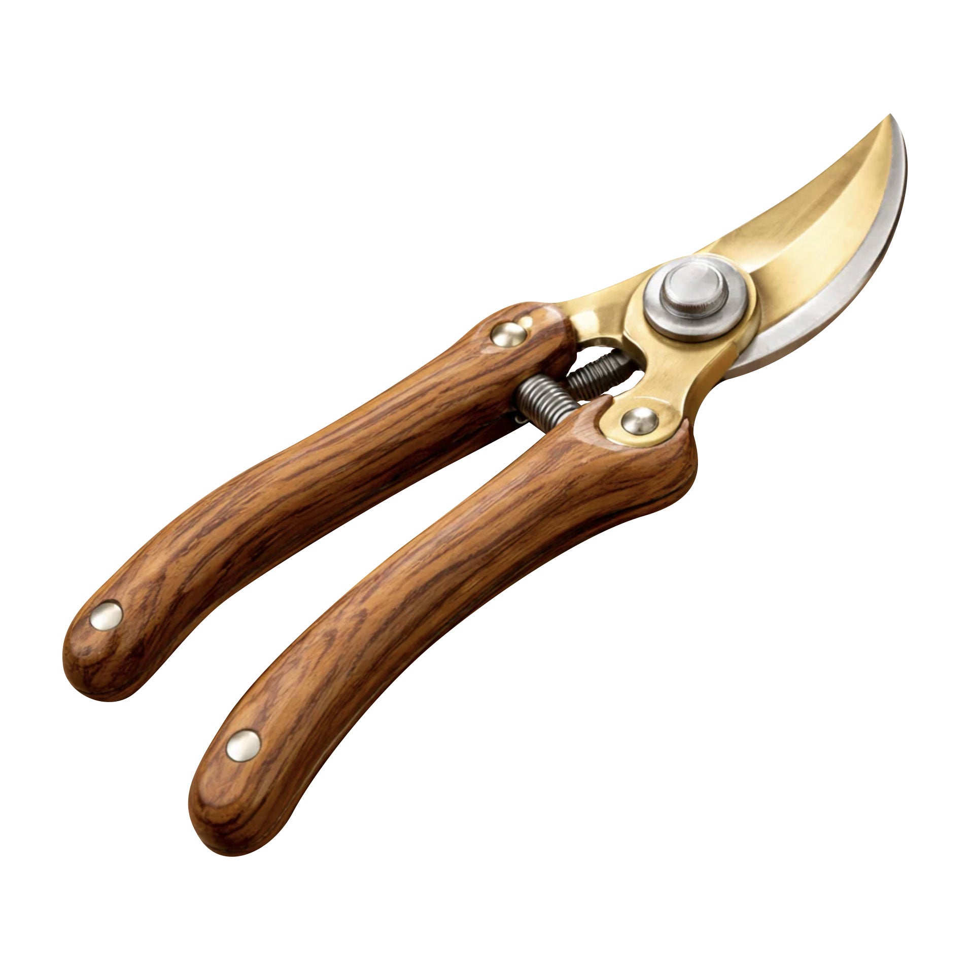 Henry Parsons Pruner